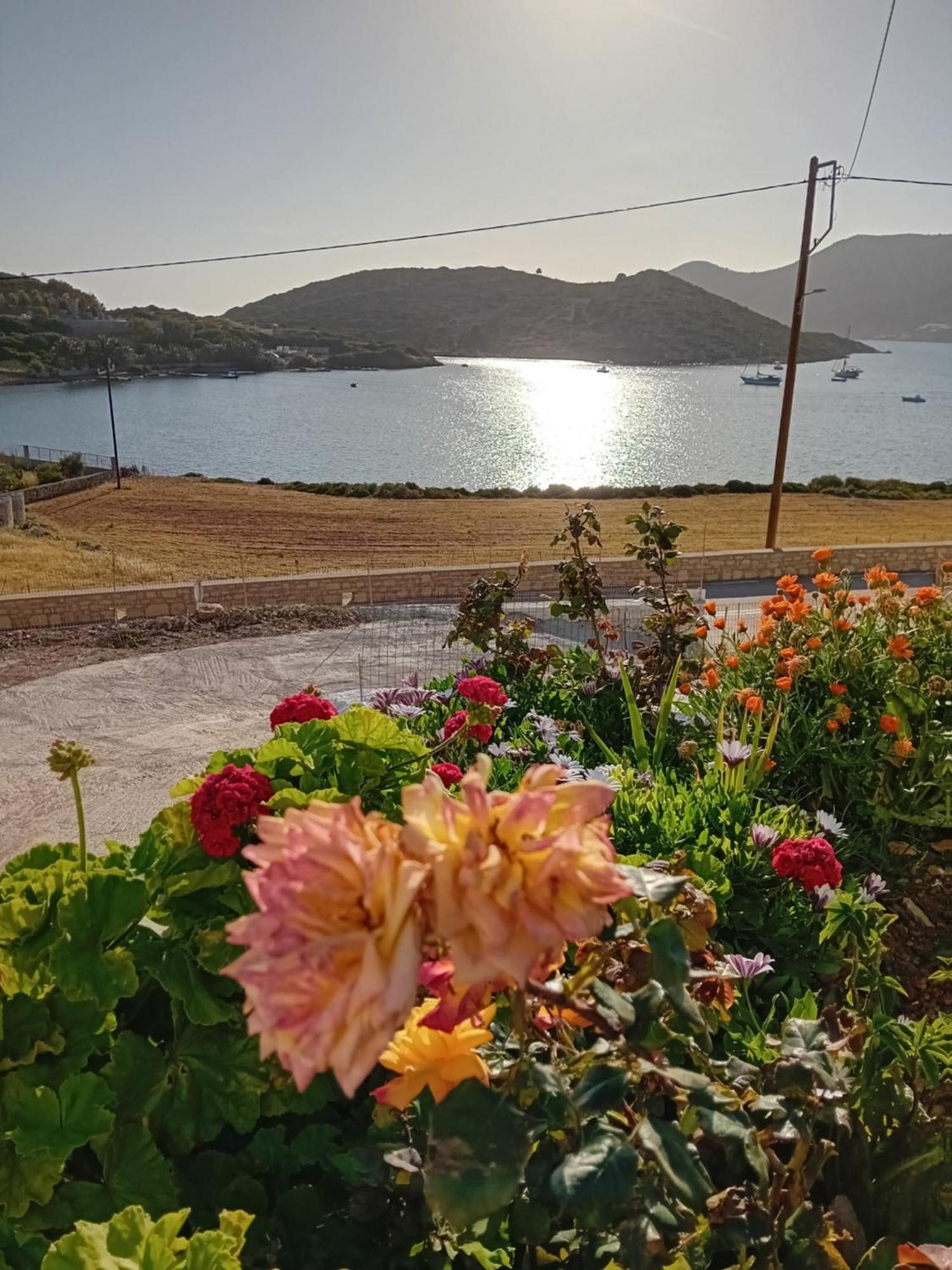 Aggeliki'S Apartments Lipsi Luaran gambar